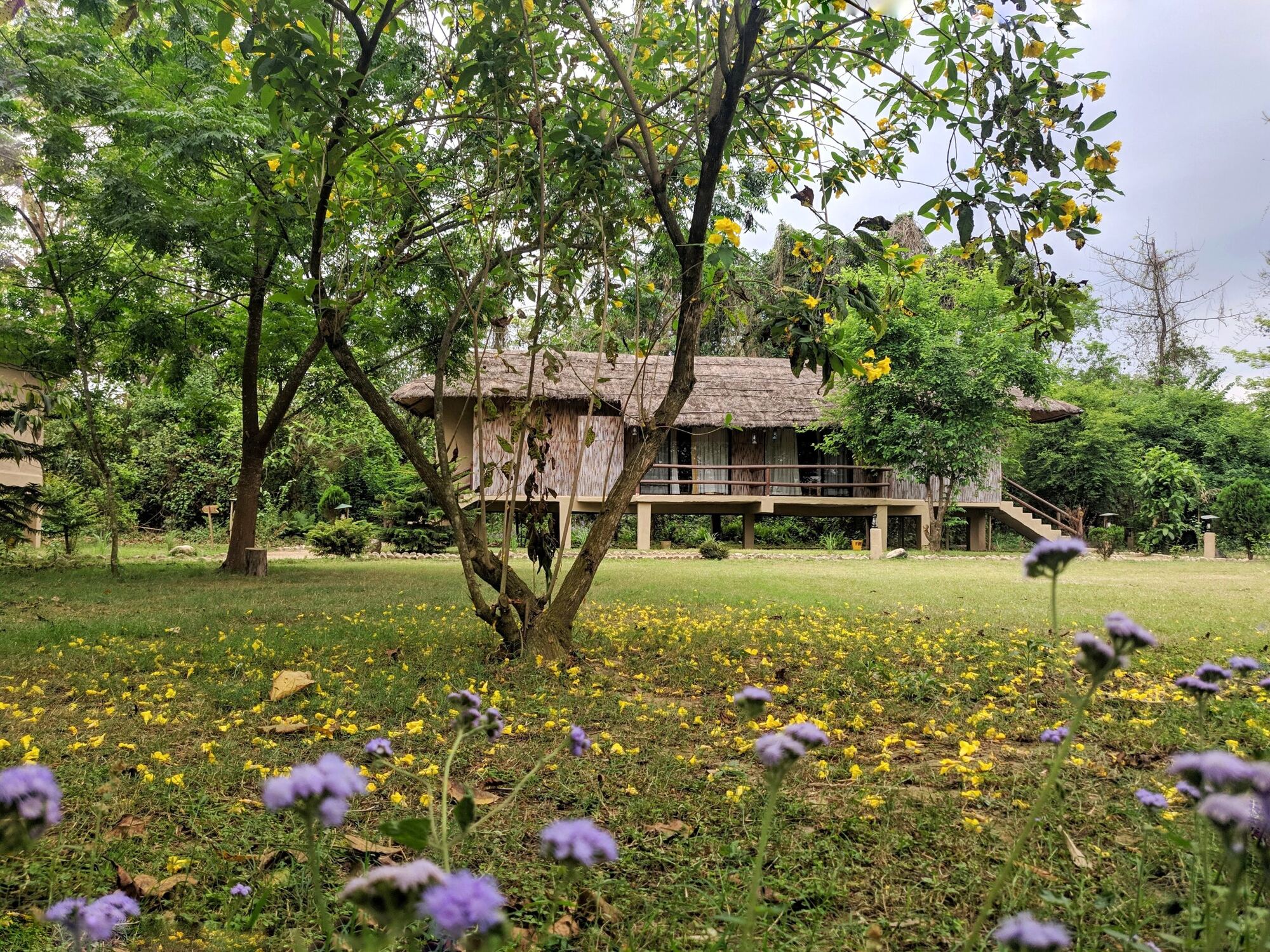 Temple Tiger Jungle Resort at dusk