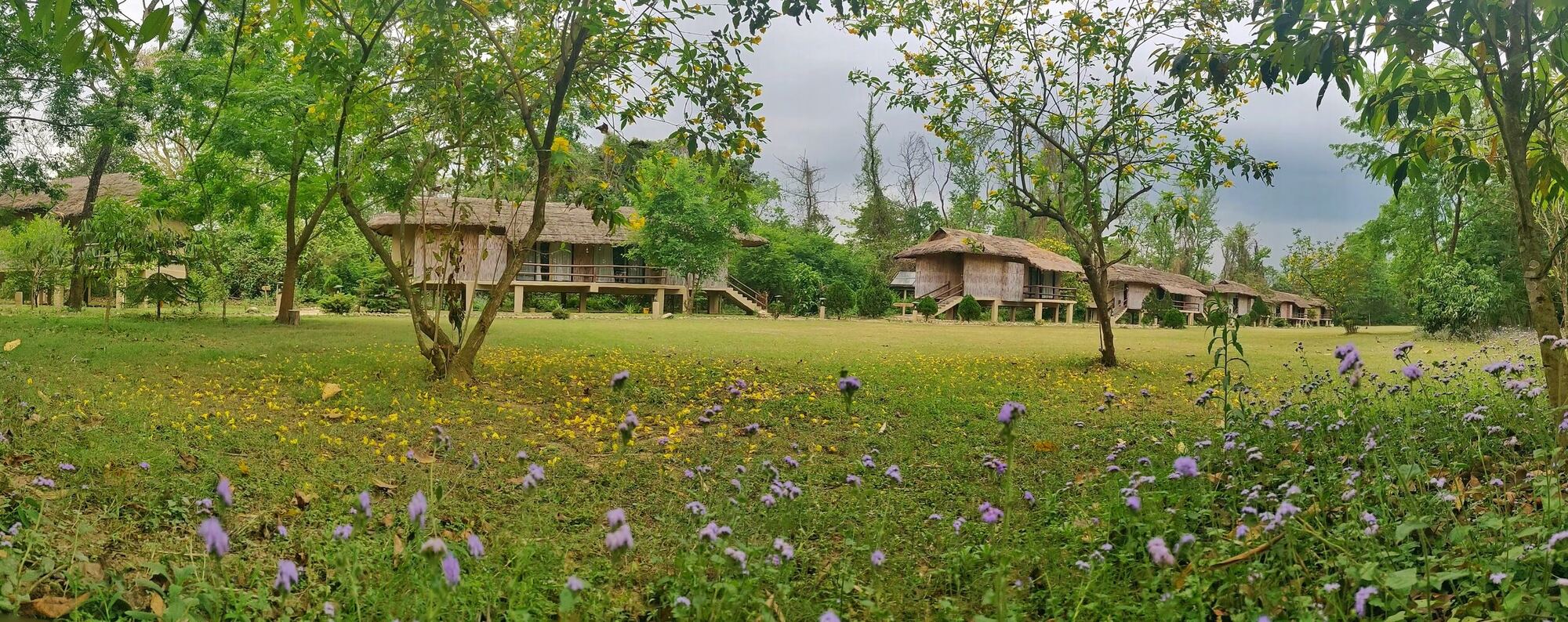 Temple Tiger Jungle Resort heritage photograph
