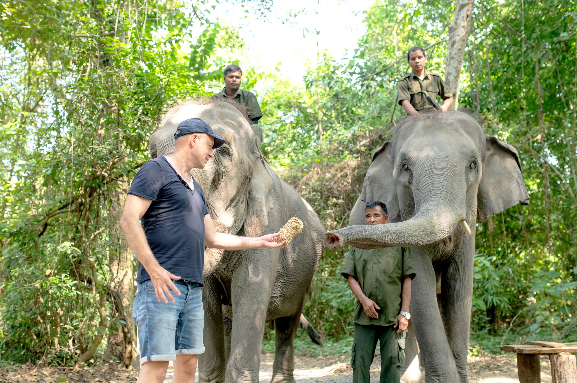 Guest feeding one of our own elephants at the briefing session