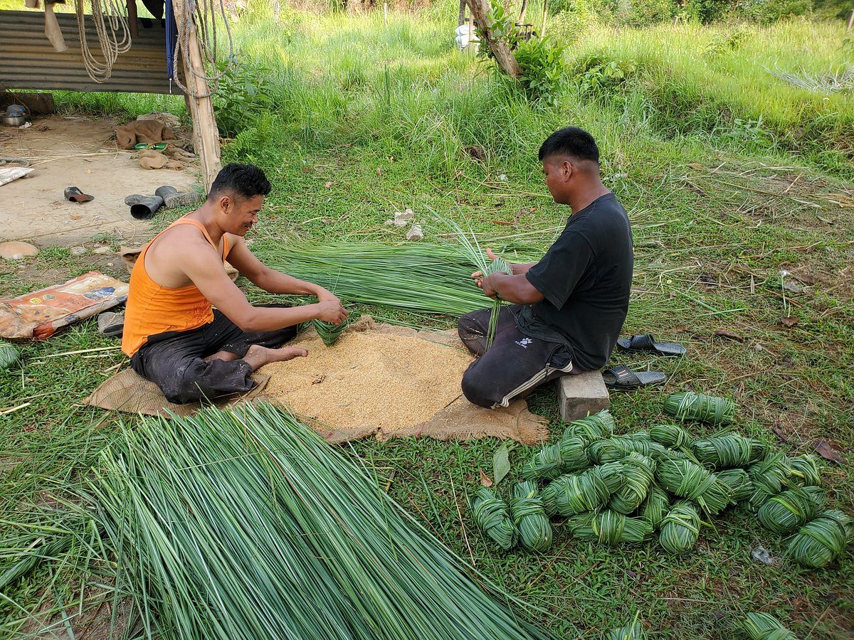 Preparing elephant food