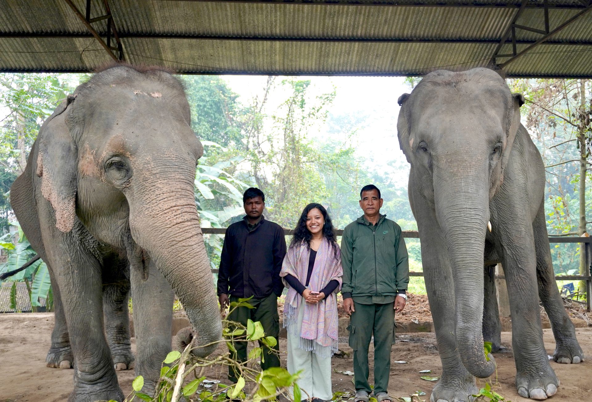Guests with two elephants and guides